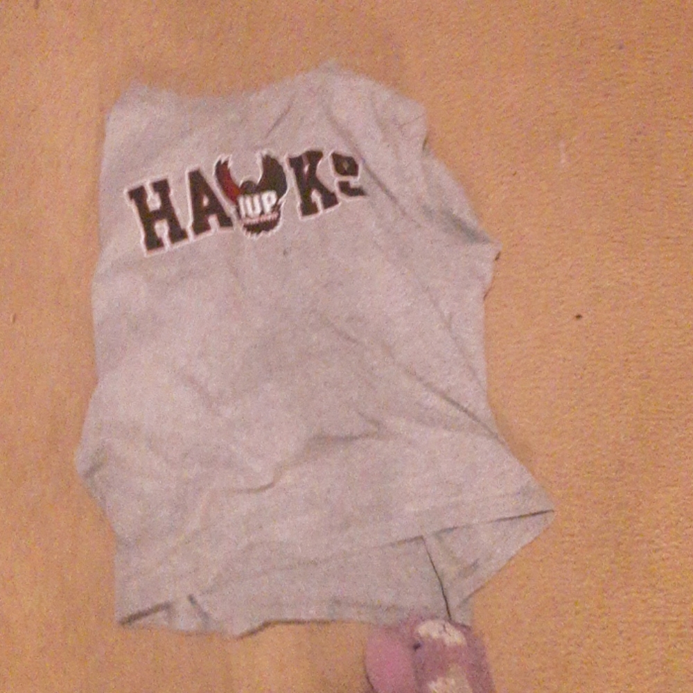 Iup hawks t shirt